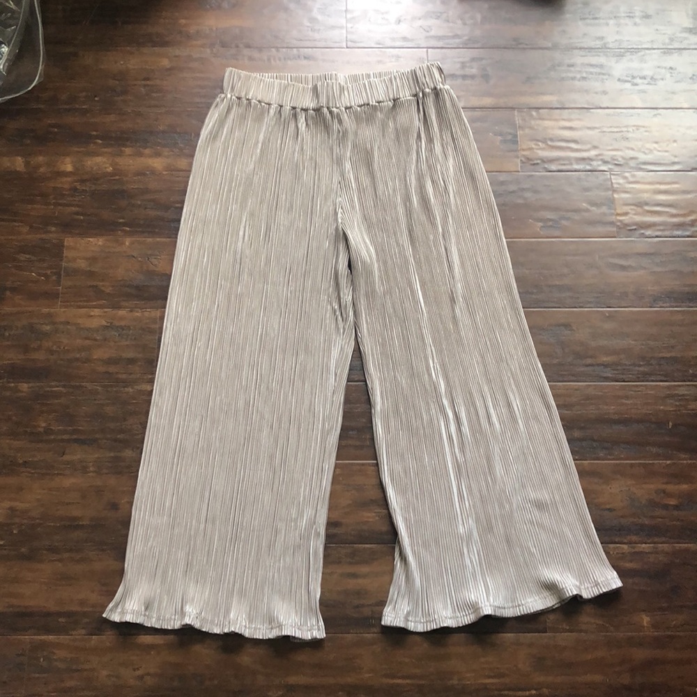 Anthropologie Dolan Pleated Pants in Taupe | Medium | Pleated Pants | Anthro - Picture 4 of 12
